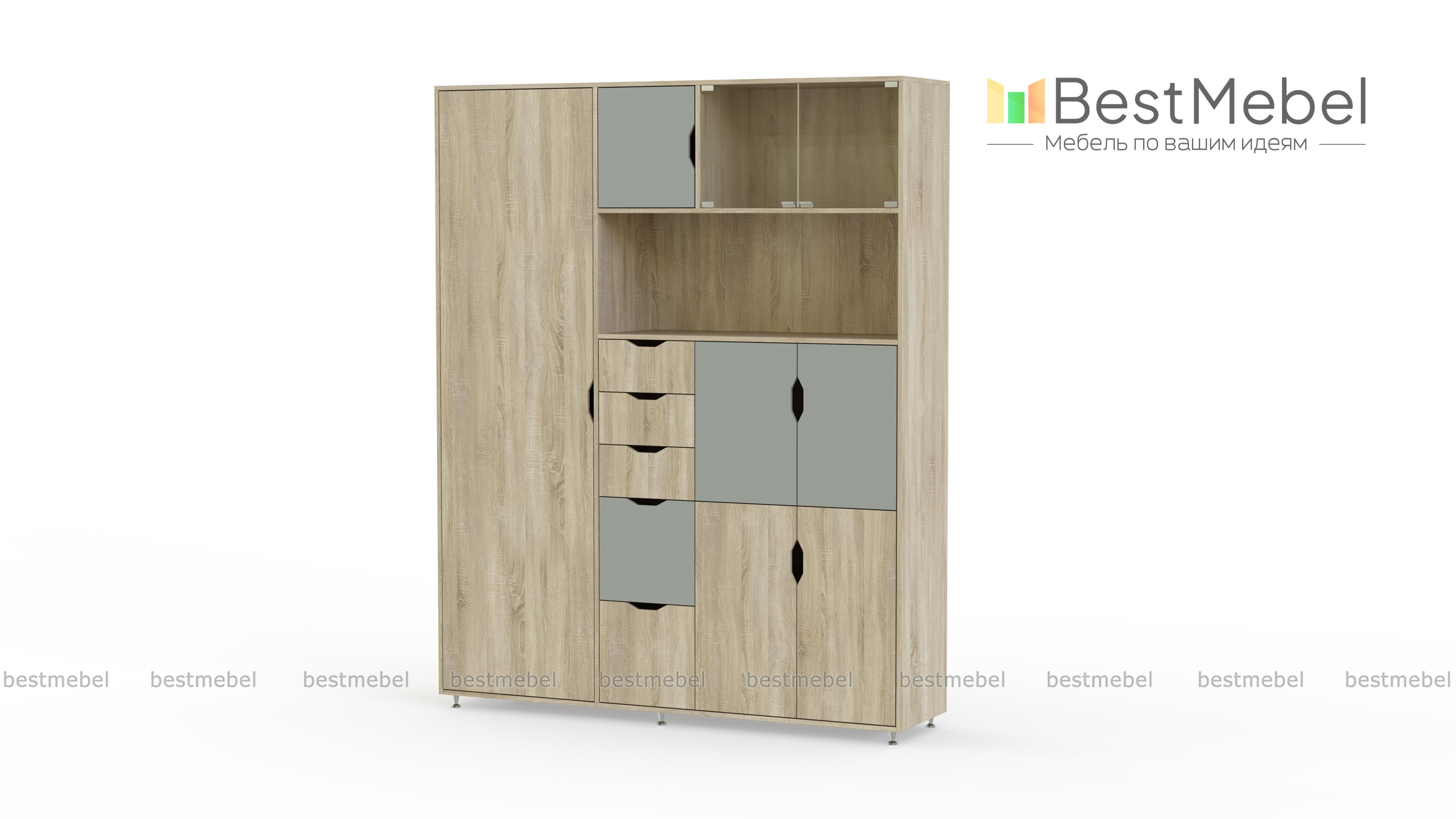 Шкаф комбинированный Авгий BMS - Фото