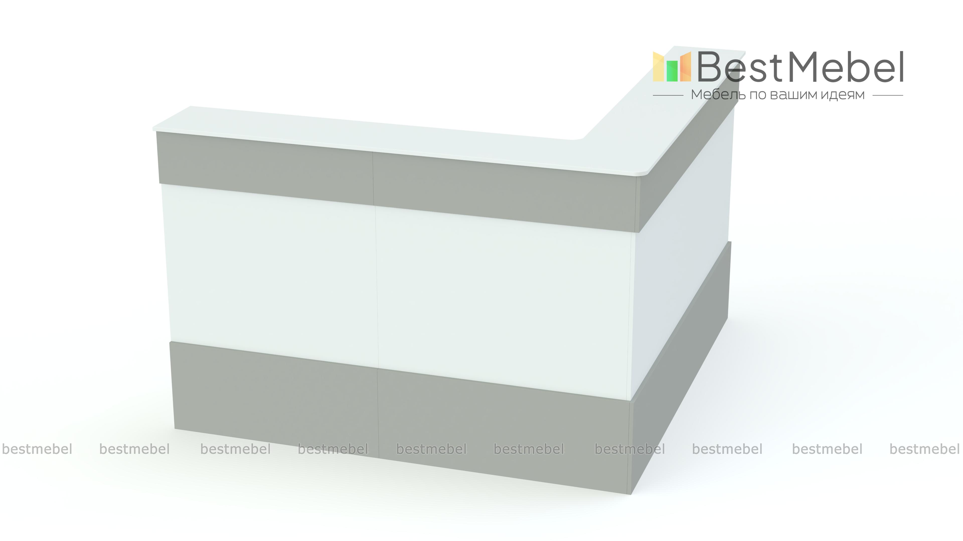 Ресепшен Рейна №14 BMS - Фото